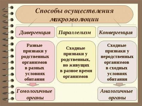 Определение и особенности