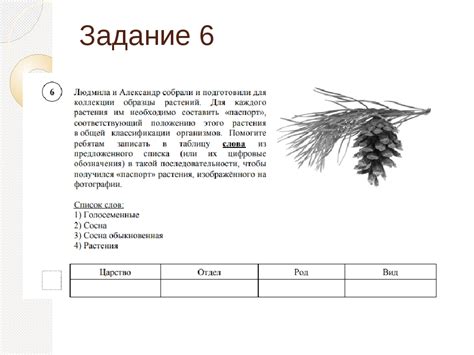 Определение и примеры врожденных признаков