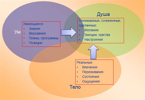 Определение и происхождение выражения "бумажная душа"