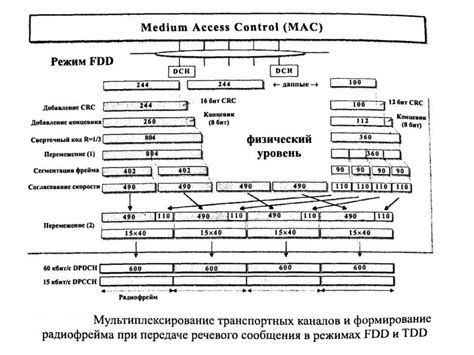 Определение и работа сети UMTS