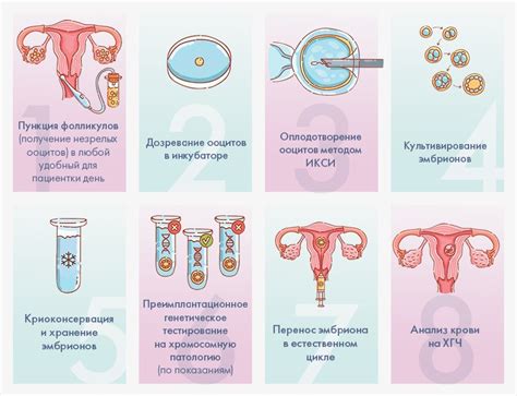 Определение и суть ЭКО: что значит родить при помощи экстракорпорального оплодотворения (ЭКО)