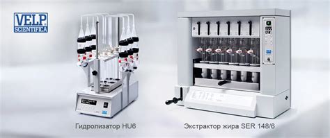 Определение и сущность пьяни гидролизной