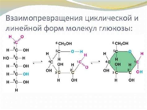 Определение и химическая формула глюкозы