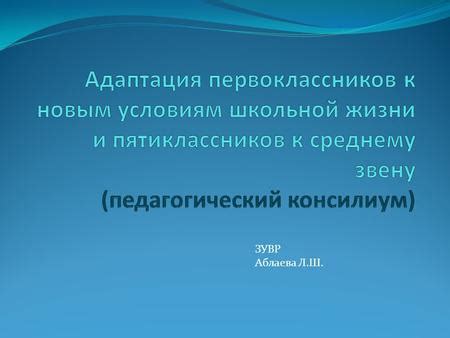 Определение и цель адаптации