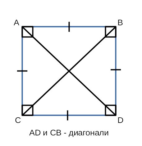 Определение квадрата