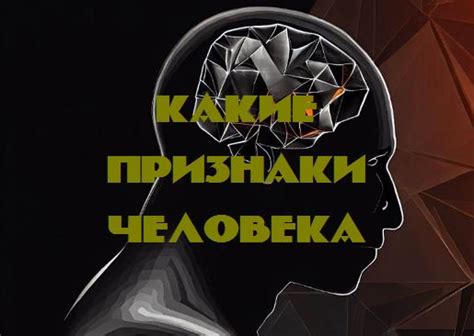 Определение контролирующего человека: основные признаки и характеристики