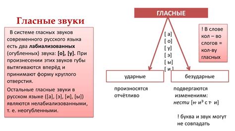 Определение лабиализованных гласных