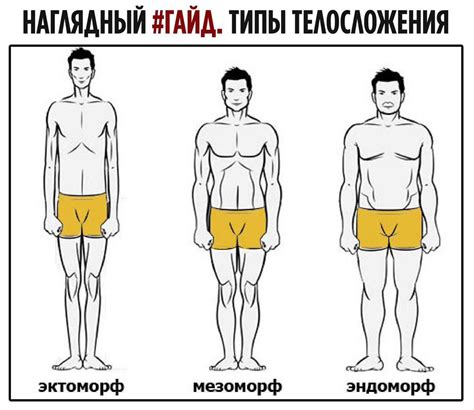 Определение мезоморфного телосложения