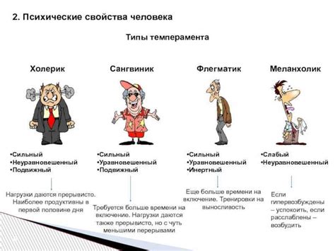 Определение меланхолического темперамента