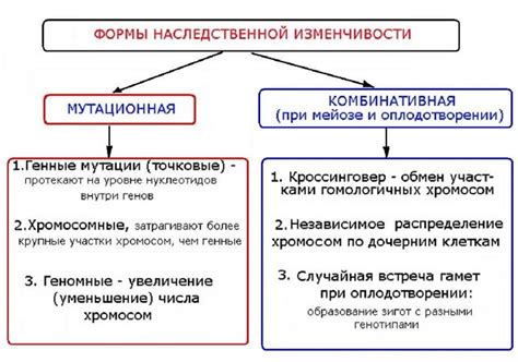 Определение наследственной изменчивости