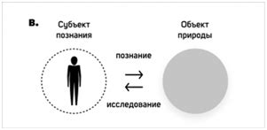 Определение натуралистического подхода