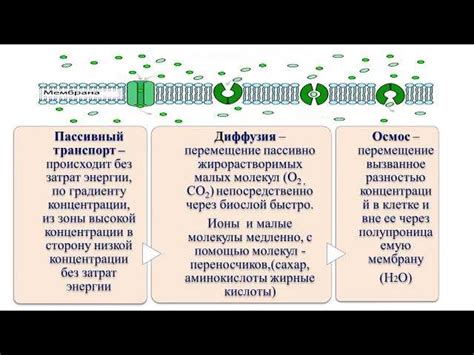 Определение пассивного абиогенеза