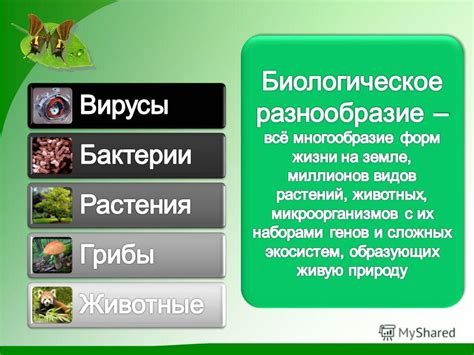 Определение понятия "биологическое разнообразие" и его значение