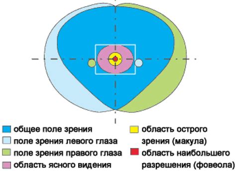 Определение понятия "угол зрения"