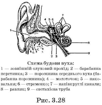 Определение понятия "шум времени"