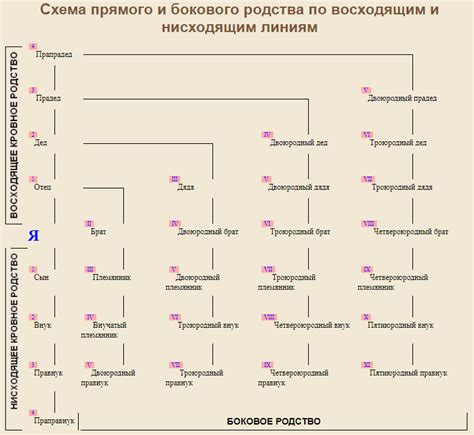 Определение прямого родства