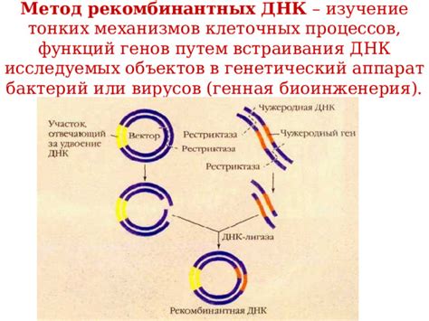 Определение рекомбинантных генов