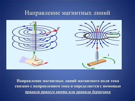 Определение силовых линий и их значение