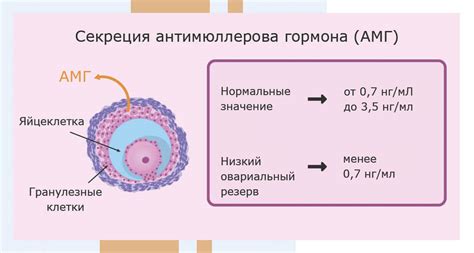 Определение синдрома истощения