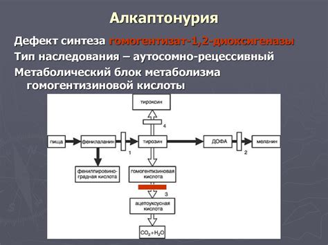 Определение состава нарушения