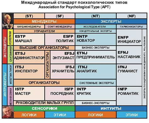 Определение социотипа: как определить свою личностную категорию