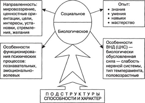 Определение структуры личности: составные части и взаимодействие