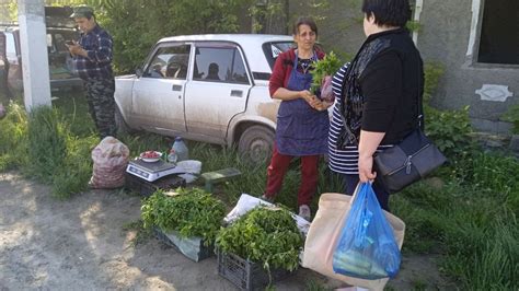 Определение стыла