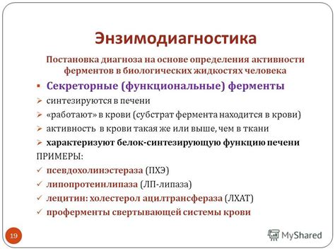 Определение термина "гринфилд"