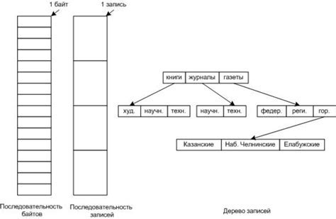 Определение термина "BIN"