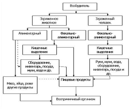 Определение трансмиссивного пути передачи инфекции