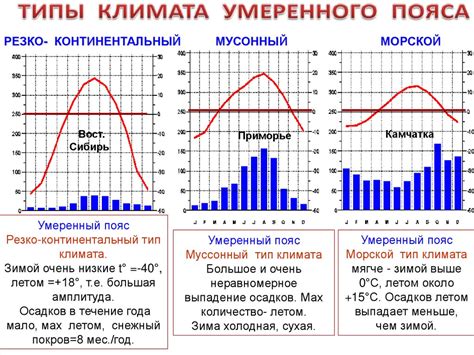 Определение умеренно континентального климата