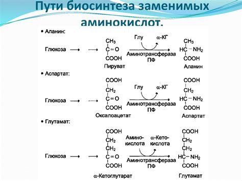 Определение условно заменимых аминокислот