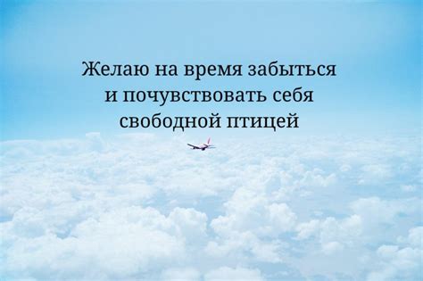 Определение фразы "полет нормальный"