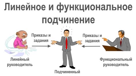 Определение функционального подчинения и его особенности