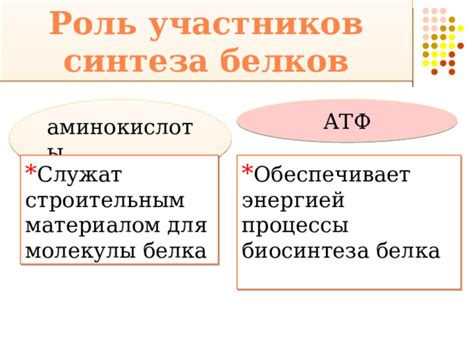 Определение целевого гормона для ускорения синтеза белков