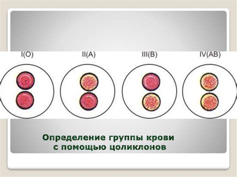 Определение чистоты крови