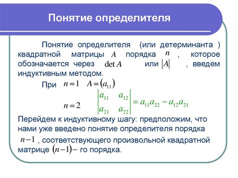 Определитель: что это?