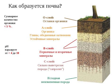 Определите тип грунта