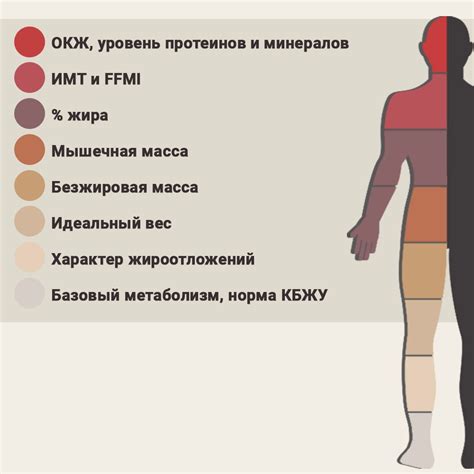 Оптимальные значения уровня висцерального жира