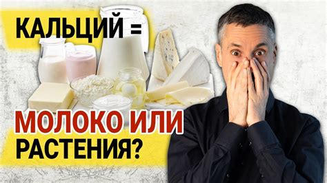 Оптимальный источник приобретения: что искать