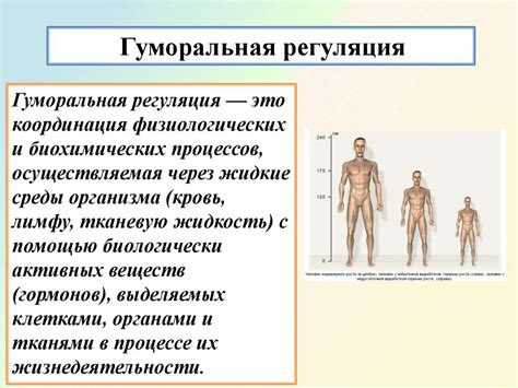 Оптимизация функций организма