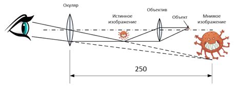 Оптическое увеличение: понятие и принцип