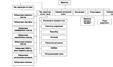 Организационная структура ГНЦ