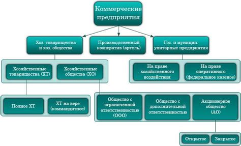 Организационно-правовая форма: как правильно указать