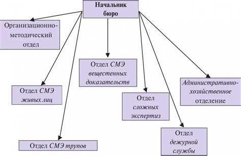 Организация и структура учреждения: принципы и преимущества