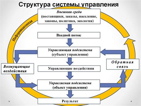 Организация и функции