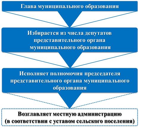 Органы местного самоуправления