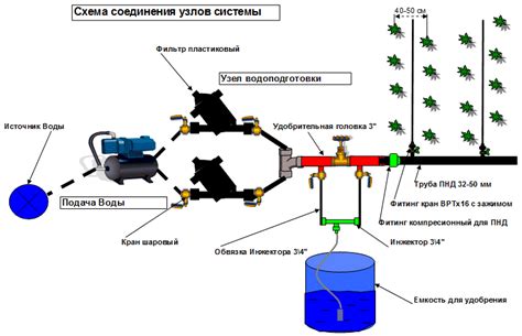 Орошение: принцип работы системы полива