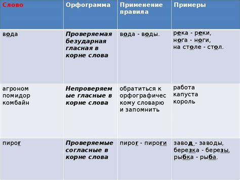 Орфограммы: значимость и применение