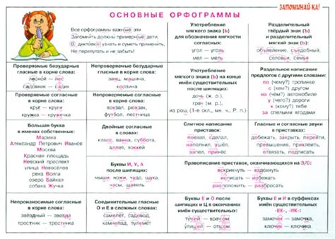 Орфограммы: определение и основные виды